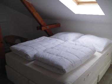 Holiday Apartment in Sassnitz (Ostsee-Inseln) or holiday homes and vacation rentals