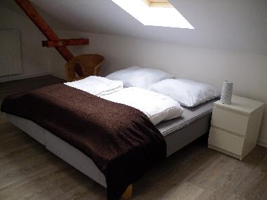 Holiday Apartment in Sassnitz (Ostsee-Inseln) or holiday homes and vacation rentals