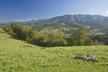 Holiday Apartment in Sevares (Asturias) or holiday homes and vacation rentals