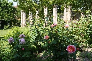 Holiday House in Strassoldo (Udine) or holiday homes and vacation rentals