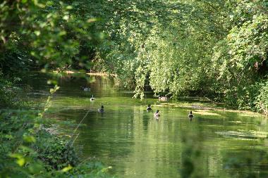 Holiday House in Strassoldo (Udine) or holiday homes and vacation rentals