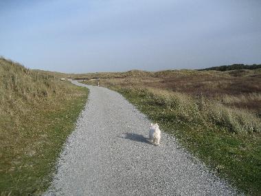Holiday Apartment in Ameland Buren (Friesland) or holiday homes and vacation rentals