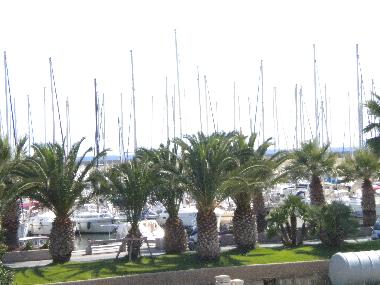 view from terrace