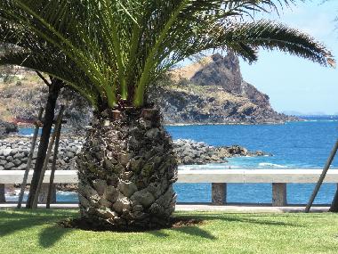 Holiday Apartment in Canico de Baixo (Madeira) or holiday homes and vacation rentals
