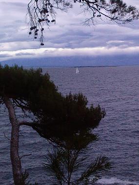 view on the way to the center