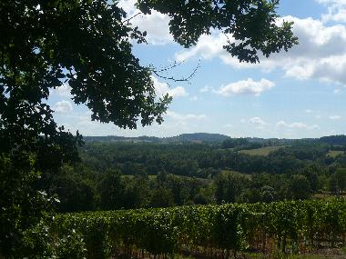 Holiday House in Pomport (Dordogne) or holiday homes and vacation rentals