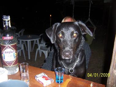 Holiday House in Zahora (Cdiz) or holiday homes and vacation rentals