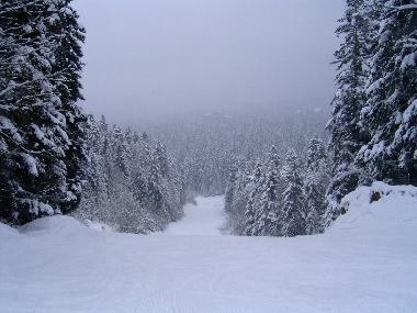 Holiday Apartment in Borovets (Smolyan) or holiday homes and vacation rentals