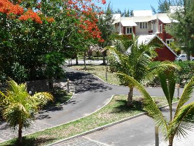 Cape Garden Residence