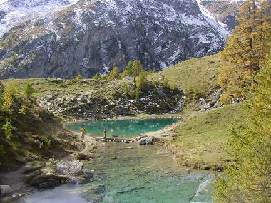 Holiday Apartment in Evol�ne (Sion) or holiday homes and vacation rentals