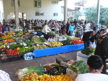 Holiday Apartment in Alanya (Antalya) or holiday homes and vacation rentals