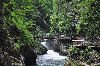 Holiday Apartment in Bled (Bled) or holiday homes and vacation rentals