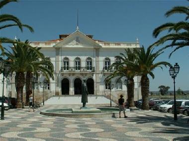 Holiday House in Grandola (Alentejo Litoral) or holiday homes and vacation rentals