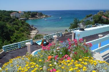 Bed and Breakfast in Lile Pag Novalja  (Licko-Senjska) or holiday homes and vacation rentals