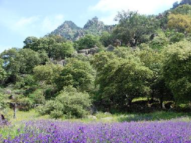 Holiday House in Montanchez (Cceres) or holiday homes and vacation rentals