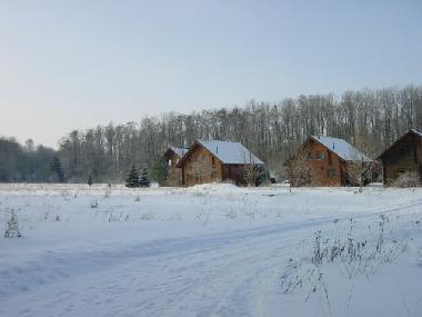 Holiday House in Frielendorf (Kurhessisches Bergland) or holiday homes and vacation rentals