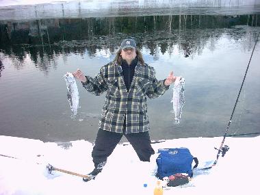 Holiday House in svanskoog- (Vrmland) or holiday homes and vacation rentals