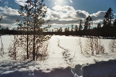 Holiday House in svanskoog- (Vrmland) or holiday homes and vacation rentals