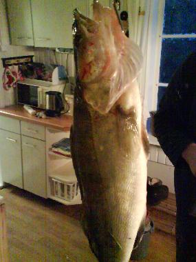 Holiday House in svanskoog- (Vrmland) or holiday homes and vacation rentals