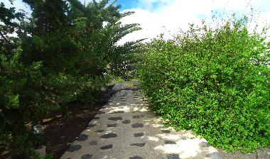 Holiday House in la Vegueta ( Tinajo) (Lanzarote) or holiday homes and vacation rentals