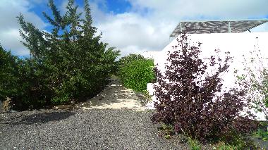 Holiday House in la Vegueta ( Tinajo) (Lanzarote) or holiday homes and vacation rentals