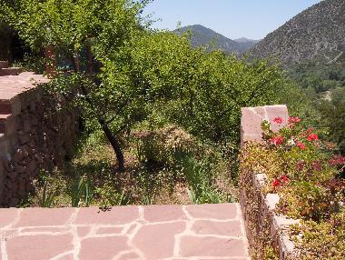 Holiday House in Marrakech (Marrakech) or holiday homes and vacation rentals