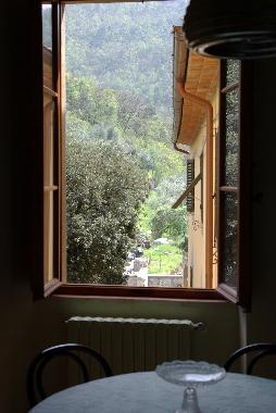 view from ABSIDE livingroom