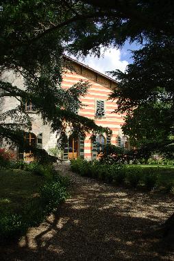 View from the garden