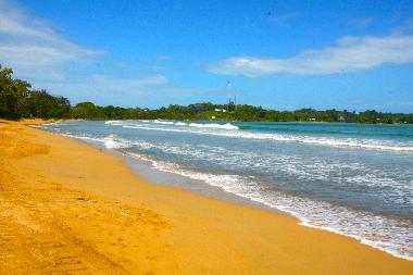 The beach steps from the Condo
