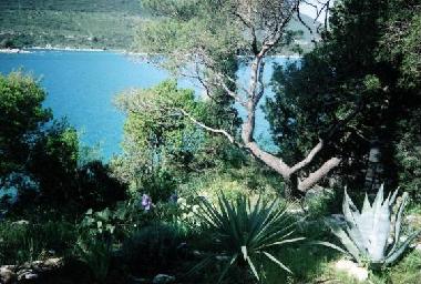 Holiday Apartment in Mali Ston (Dubrovacko-Neretvanska) or holiday homes and vacation rentals