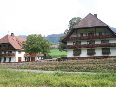 The farm