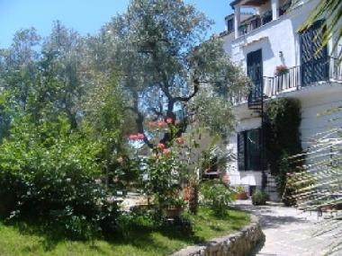 Holiday House in Massalubrense (Napoli) or holiday homes and vacation rentals