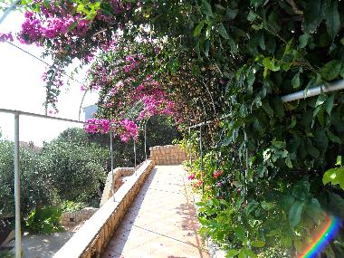 Holiday Apartment in Potocnica (Zadarska) or holiday homes and vacation rentals