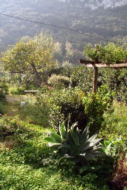 Holiday Apartment in Capri (Napoli) or holiday homes and vacation rentals