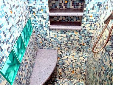 the shower in the blue bathroom