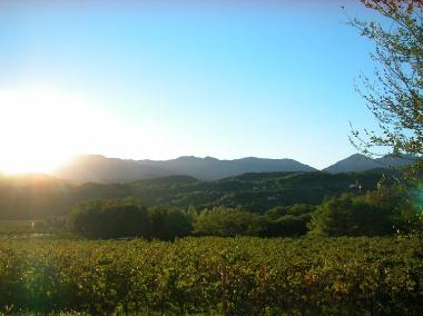 Villa in san pietro di feletto (Treviso) or holiday homes and vacation rentals