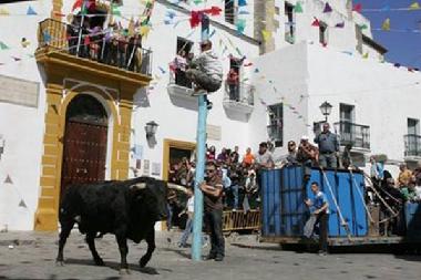Holiday Apartment in Vejer de la Frontera (Cdiz) or holiday homes and vacation rentals