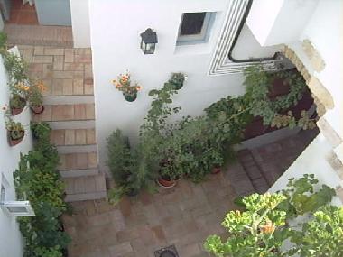 Holiday Apartment in Vejer de la Frontera (Cdiz) or holiday homes and vacation rentals