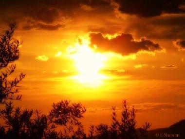 Tre Cancelle  Sunset in the Olive Groves