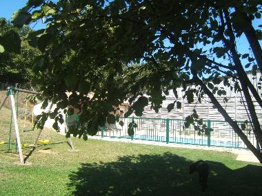 Large garden with swing