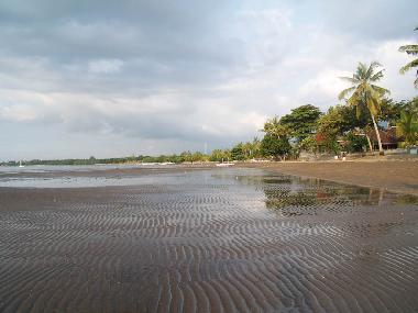 Villa in Dencarik (Bali) or holiday homes and vacation rentals