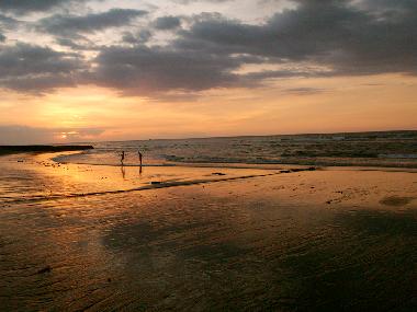 Villa in Dencarik (Bali) or holiday homes and vacation rentals