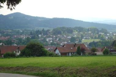 Holiday Apartment in Grafenwiesen (Upper Palatinate) or holiday homes and vacation rentals