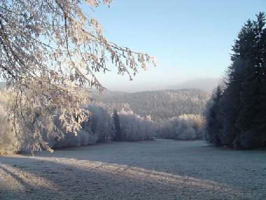 Holiday Apartment in Grafenwiesen (Upper Palatinate) or holiday homes and vacation rentals