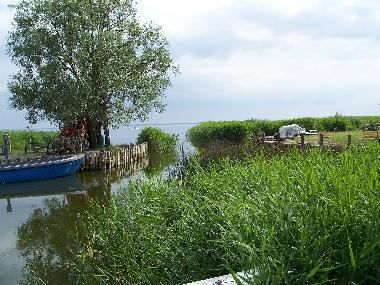 Holiday House in Zempin (Ostsee-Inseln) or holiday homes and vacation rentals