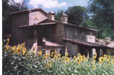 Villa in Cortona Mercatale (Arezzo) or holiday homes and vacation rentals