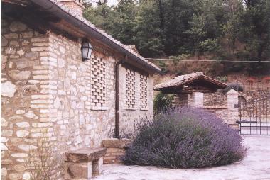 Villa in Cortona Mercatale (Arezzo) or holiday homes and vacation rentals