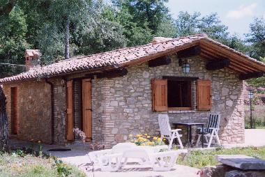 Villa in Cortona Mercatale (Arezzo) or holiday homes and vacation rentals
