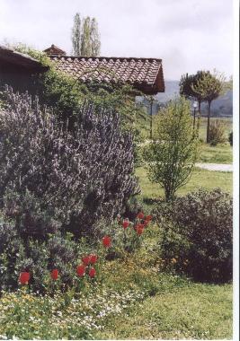 Villa in Cortona Mercatale (Arezzo) or holiday homes and vacation rentals