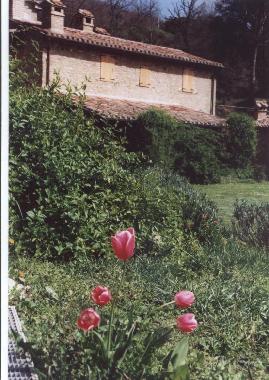 Villa in Cortona Mercatale (Arezzo) or holiday homes and vacation rentals